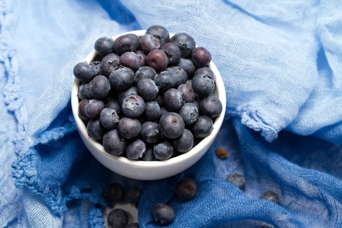 So reinigst du Blaubeeren richtig, um Pestizide loszuwerden und Schimmel vorzubeugen