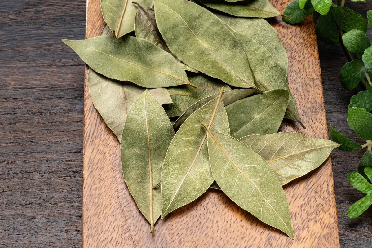 Der Oma-Trick für einen sauberen Ofen